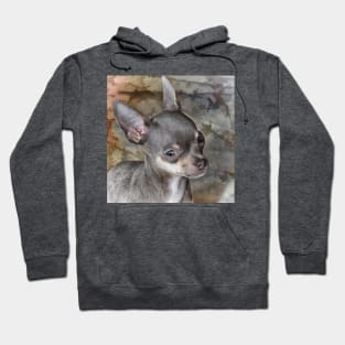 Endearing Cheeky Chihuahua Cute Face art Hoodie